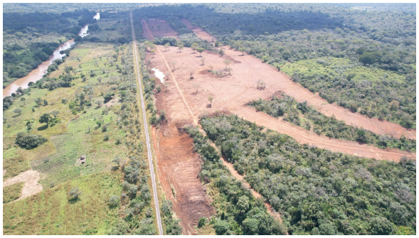 Next Investors Image