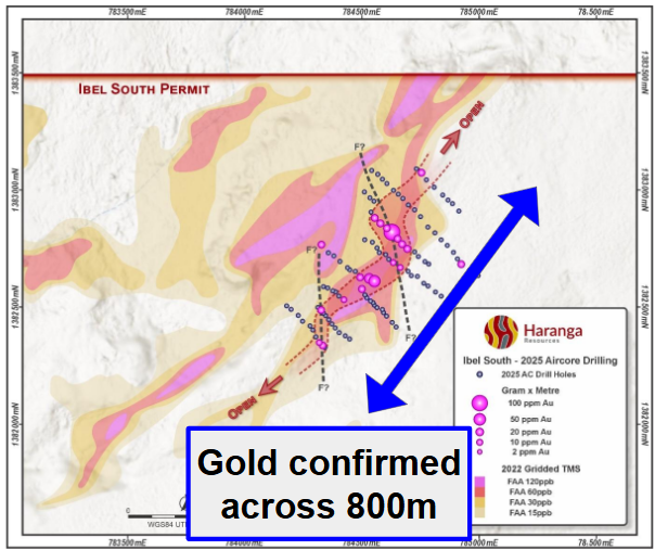 Next Investors Image