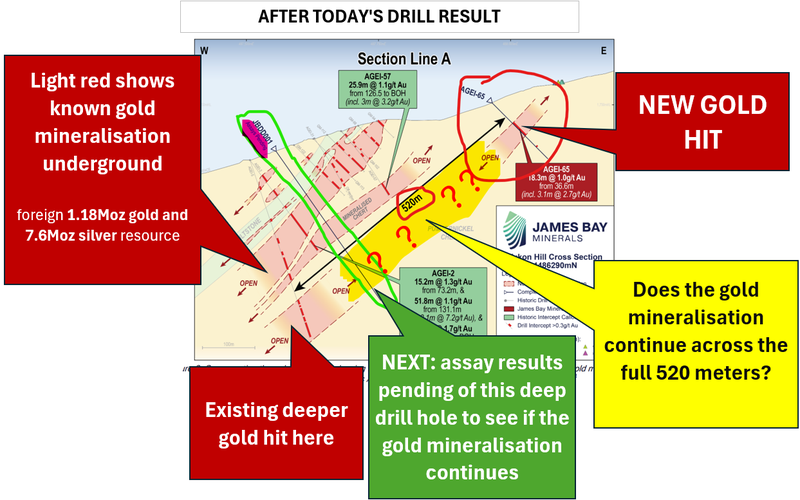 Next Investors Image