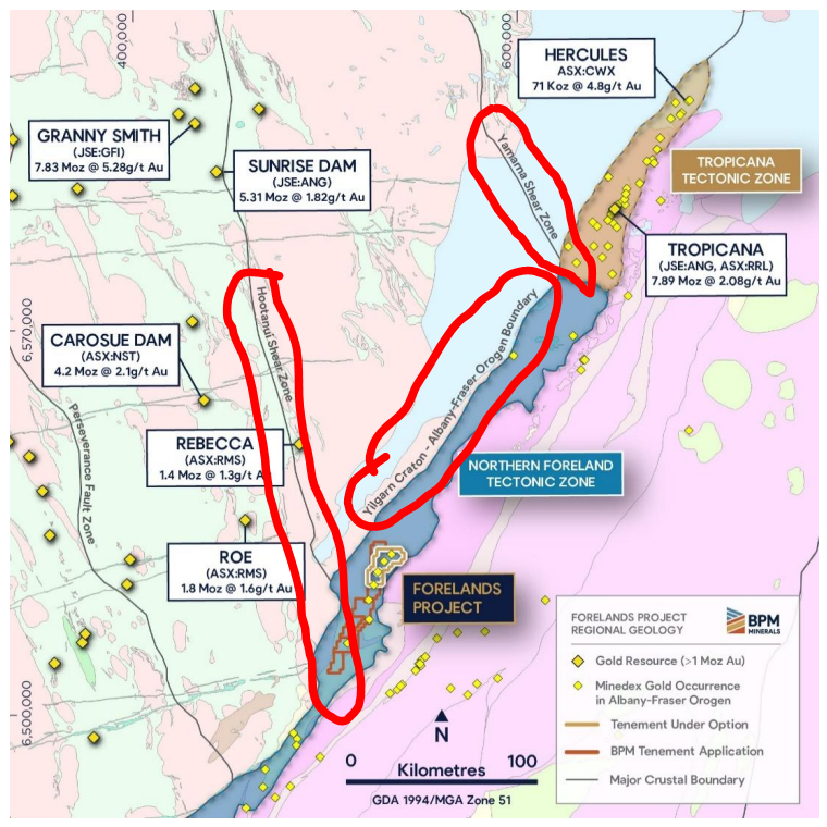 Next Investors Image