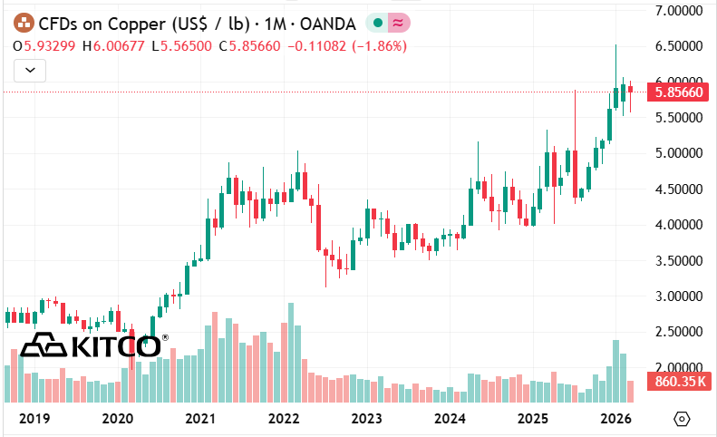 Next Investors Image