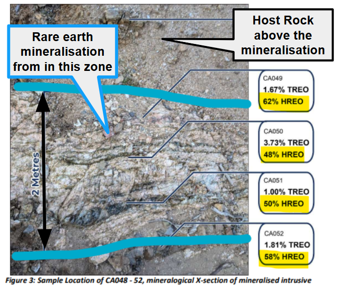 Next Investors Image