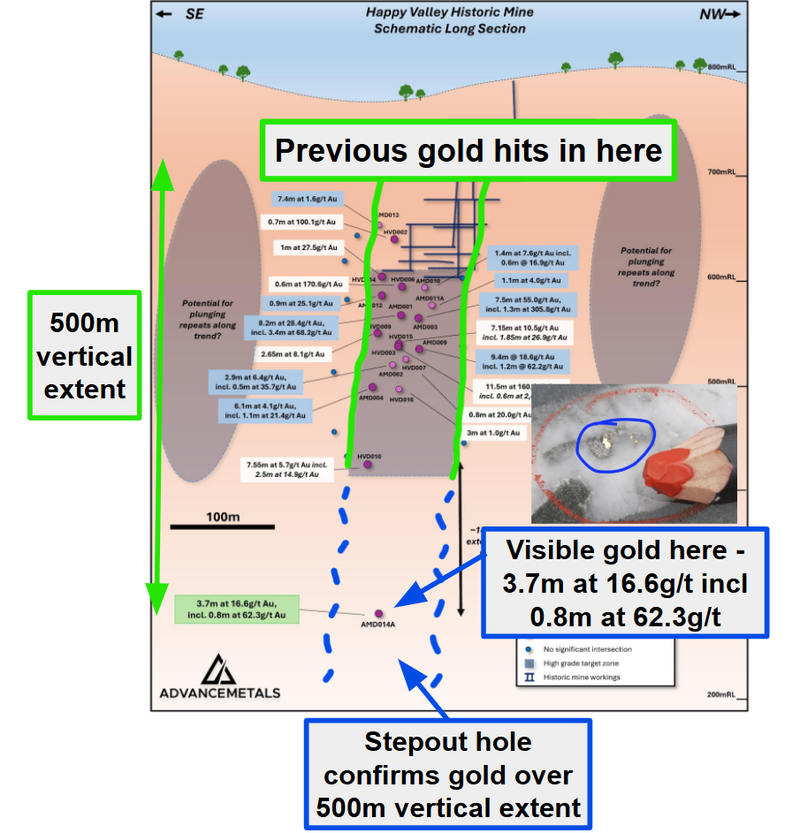 Next Investors Image