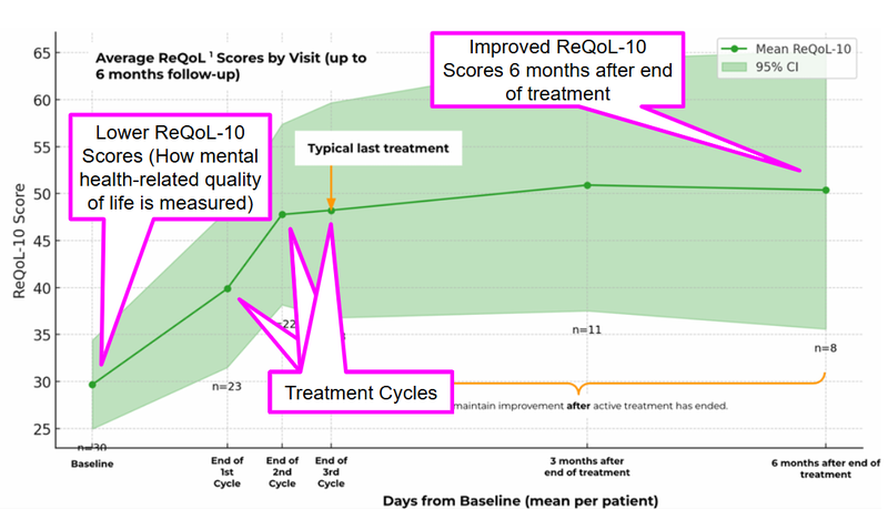 Next Investors Image