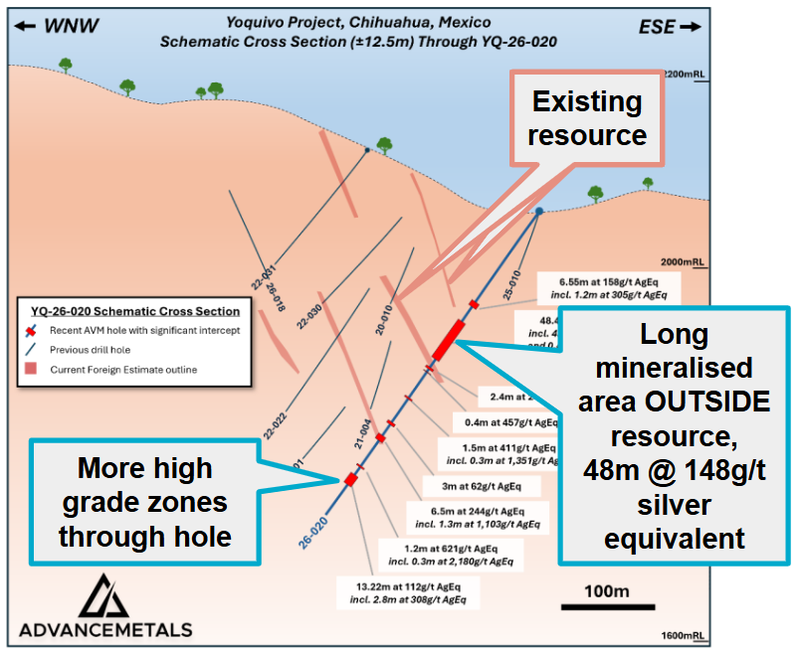 Next Investors Image