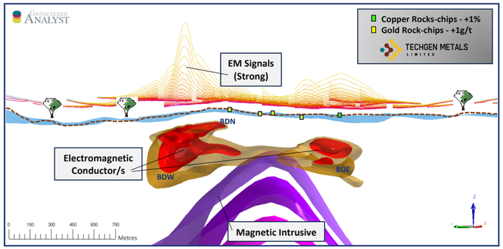 Next Investors Image