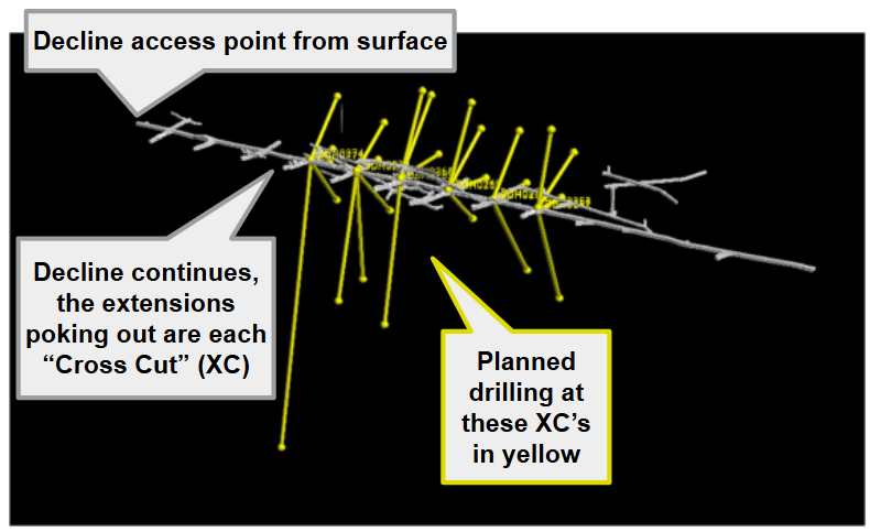 Next Investors Image