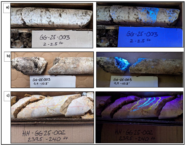 Next Investors Image