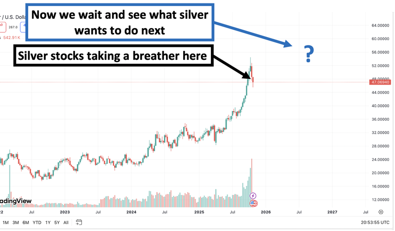 Next Investors Image