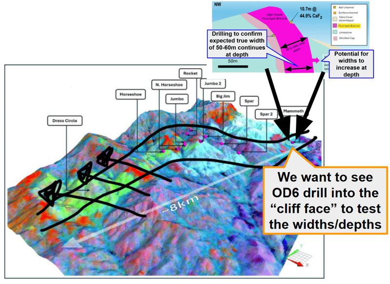 Next Investors Image