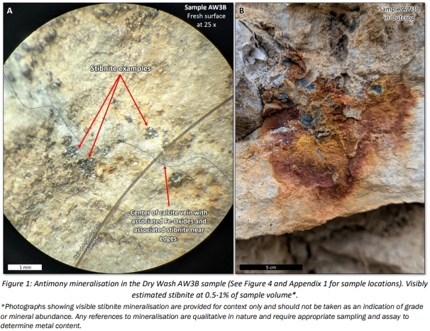 Next Investors Image