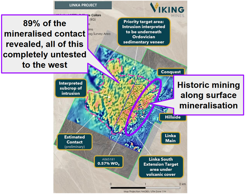 Next Investors Image
