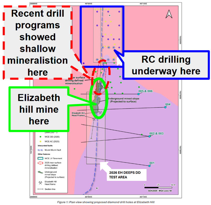 Next Investors Image