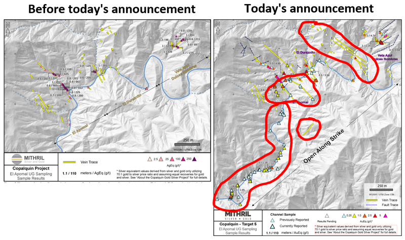 Next Investors Image
