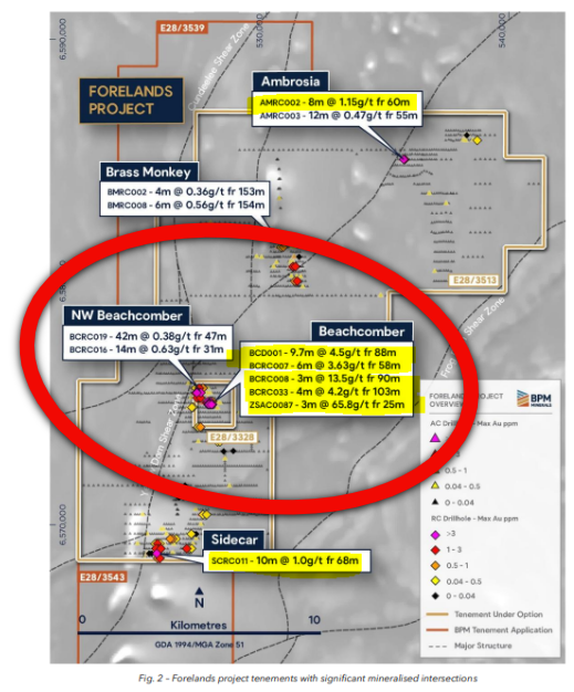 Next Investors Image