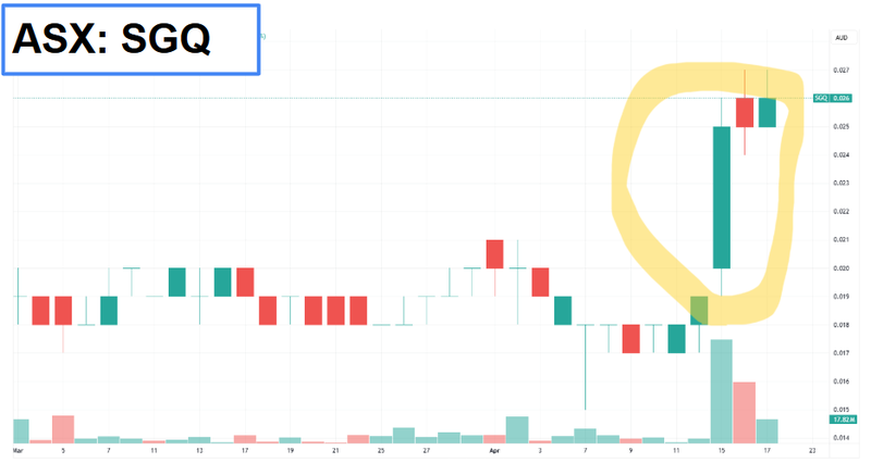Next Investors Image