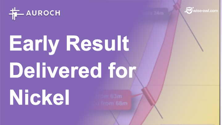AOU - Early result delivered for Nickel