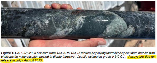 Next Investors Image