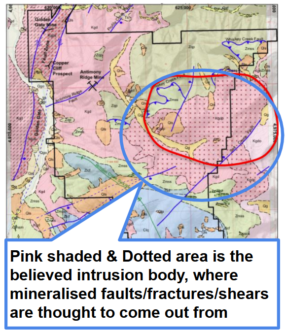 Next Investors Image