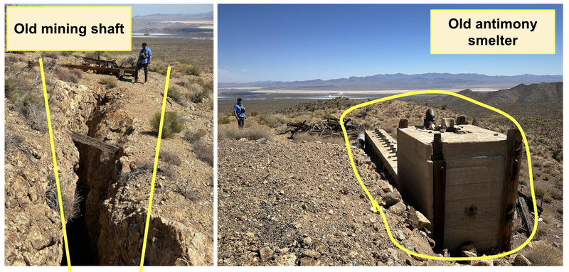 Next Investors Image