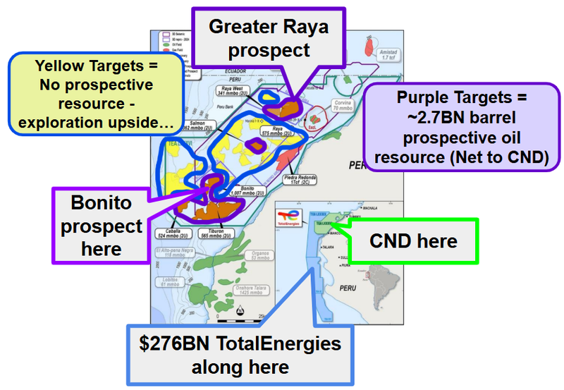 Next Investors Image