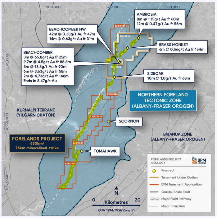 Next Investors Image