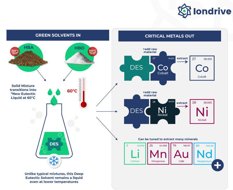 Next Investors Image
