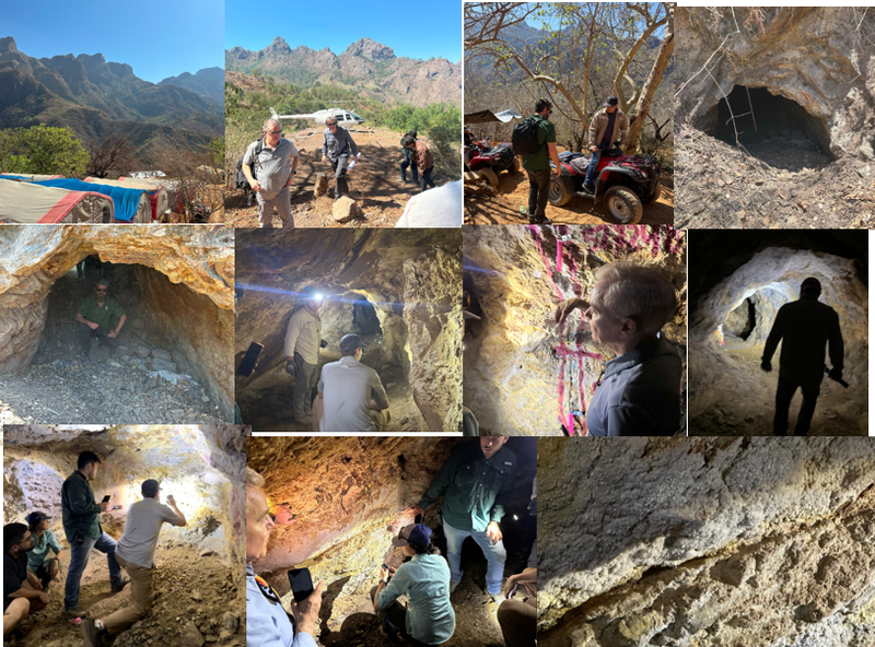 Next Investors Image