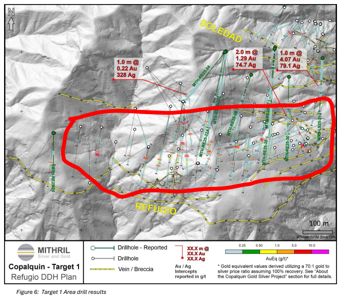 Next Investors Image