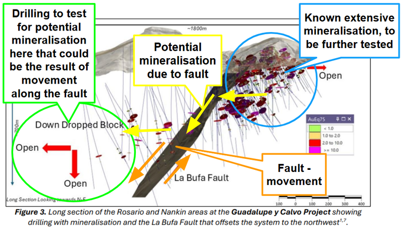 Next Investors Image