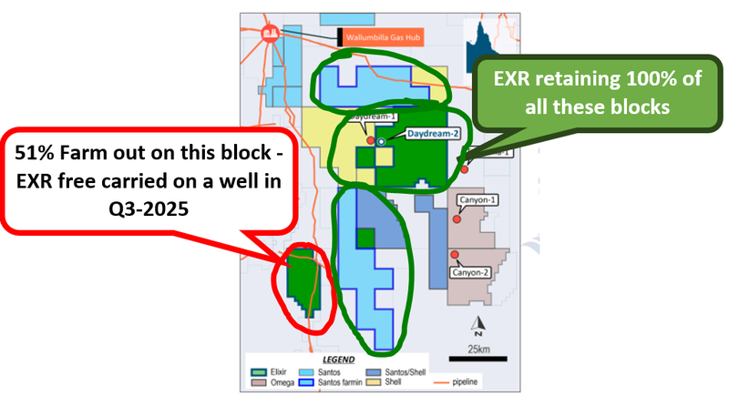 Next Investors Image