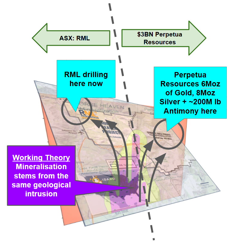 Next Investors Image