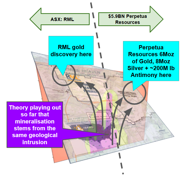Next Investors Image