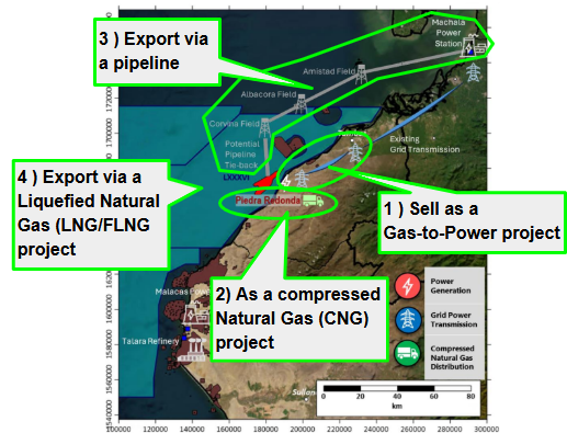 Next Investors Image