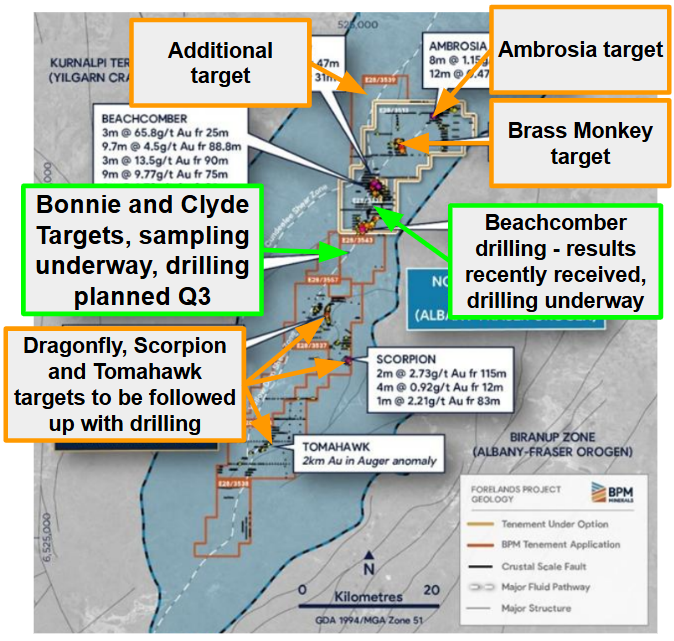 Next Investors Image