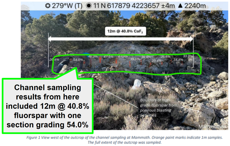 Next Investors Image