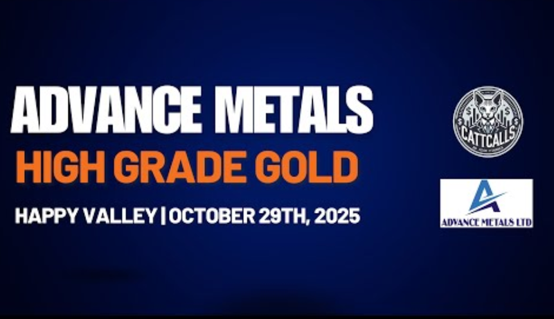 Next Investors Image