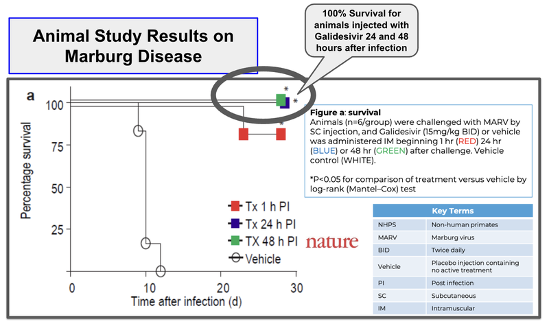 Next Investors Image
