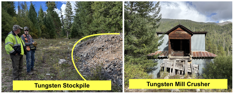 Next Investors Image