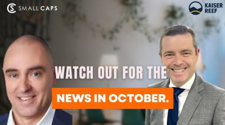 Next Investors Image