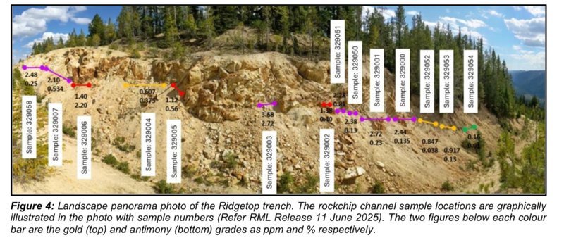 Next Investors Image