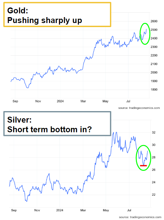 Next Investors Image