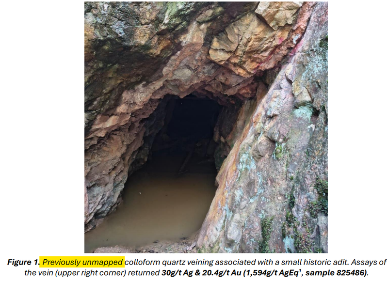 Next Investors Image