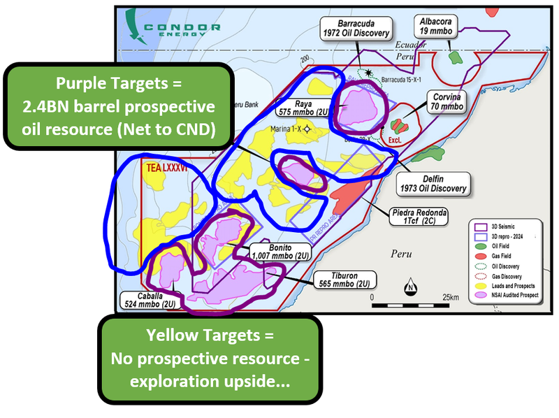 Next Investors Image