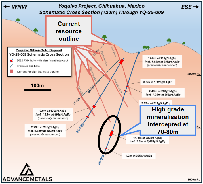 Next Investors Image