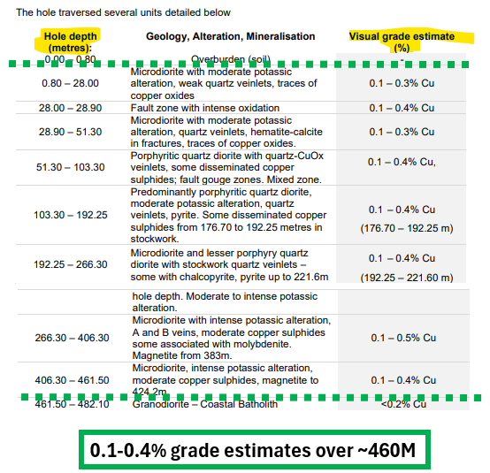 Next Investors Image