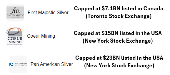 Next Investors Image