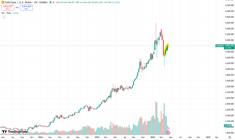 Next Investors Image