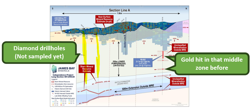 Next Investors Image