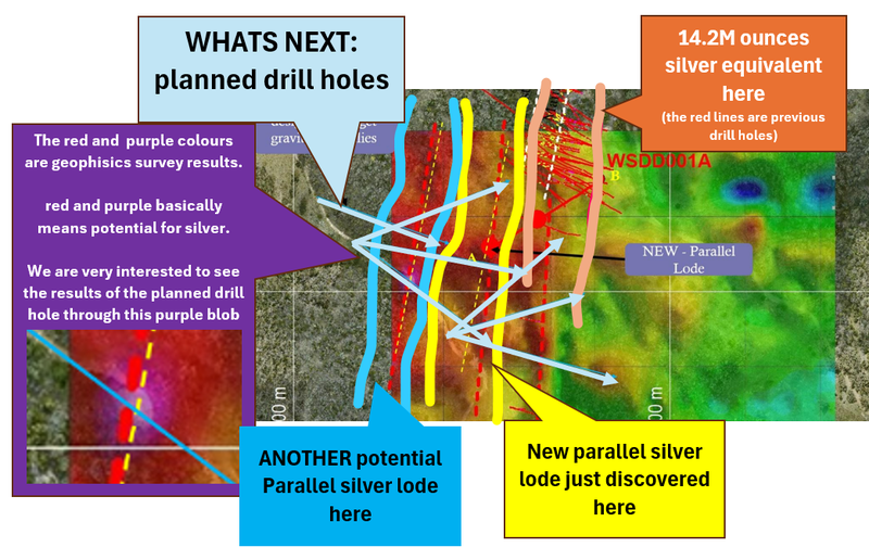 Next Investors Image